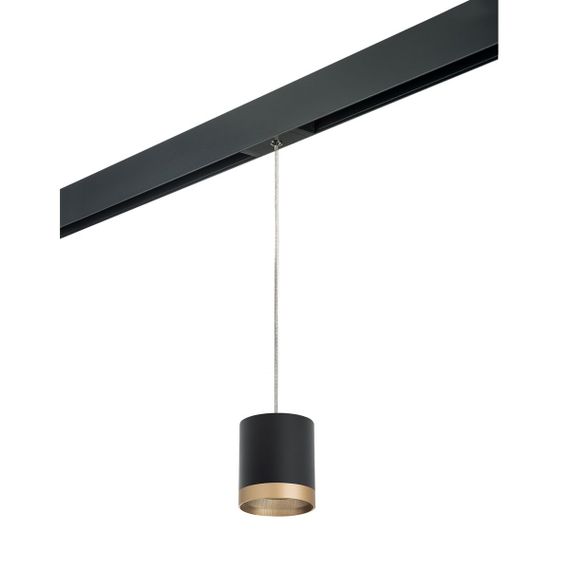 Комплект с трековым светильником Lightstar Rullo (213487+595887+203490) PRORP348790