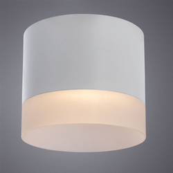 Накладной светильник Arte Lamp A5554PL-1WH