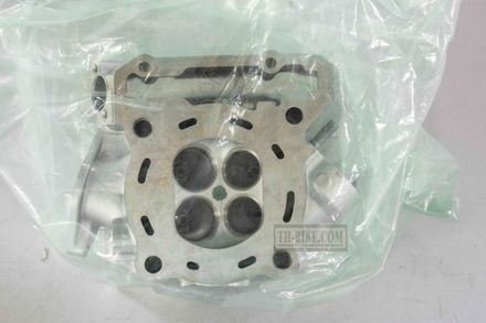 11002-0039. HEAD-ASSY-CYLINDER. Kawasaki KLX250 2009-2013.