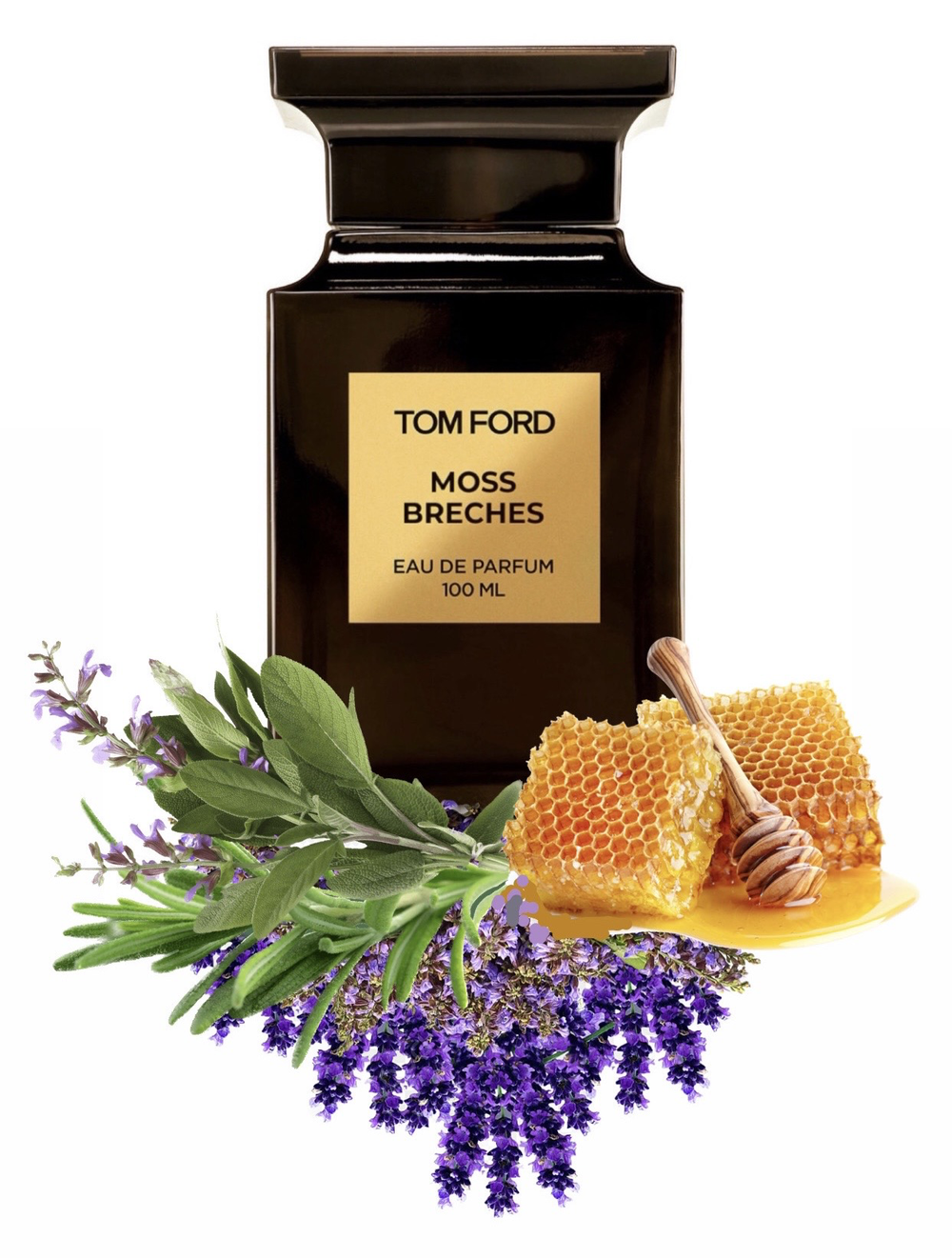Tom Ford Moss Breches