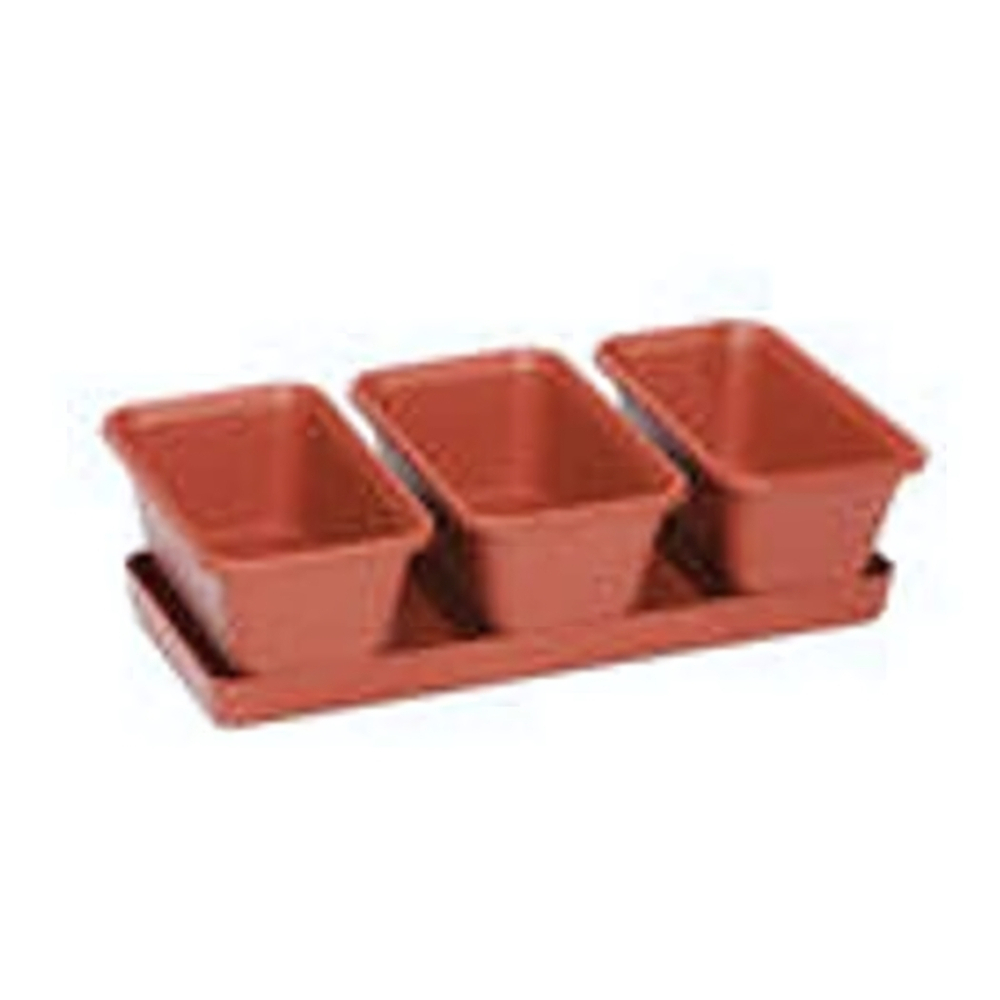 Мини-сад 3 горшка +поддон 50440