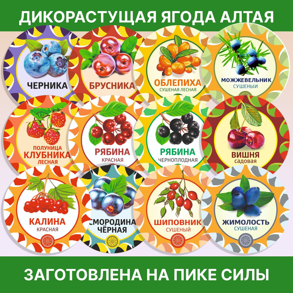 Тысячелистник пучок.