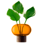 Ваза oblate, 13,5 см, янтарь/орех