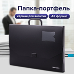 Папка-портфель пластиковая формат большой BRAUBERG "ПОРТФОЛИО" А3 (445х310х30 мм) черная Россия (2 штуки в упаковке)