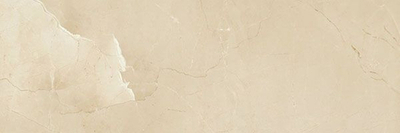 Настенная плитка PASSION R90 CHAMPAGNE