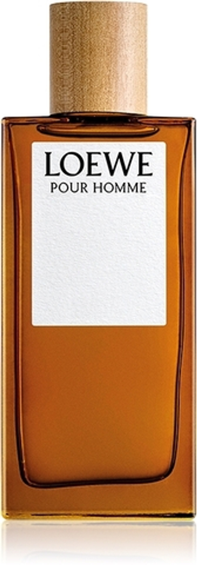 Loewe Loewe Pour Homme туалетная вода для мужчин