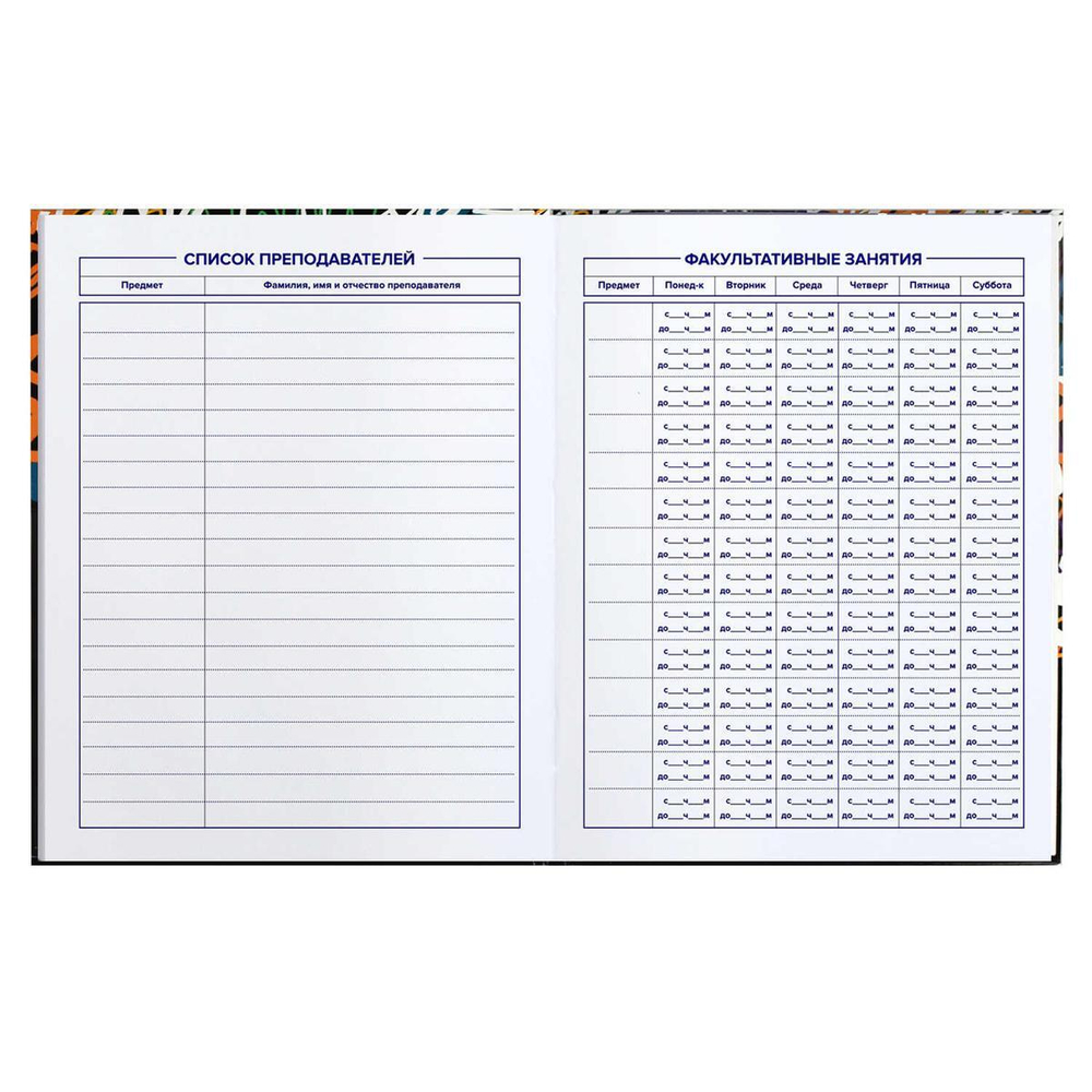 Дневник школьный 5-11 класс 48л "Тэги" (Феникс+)