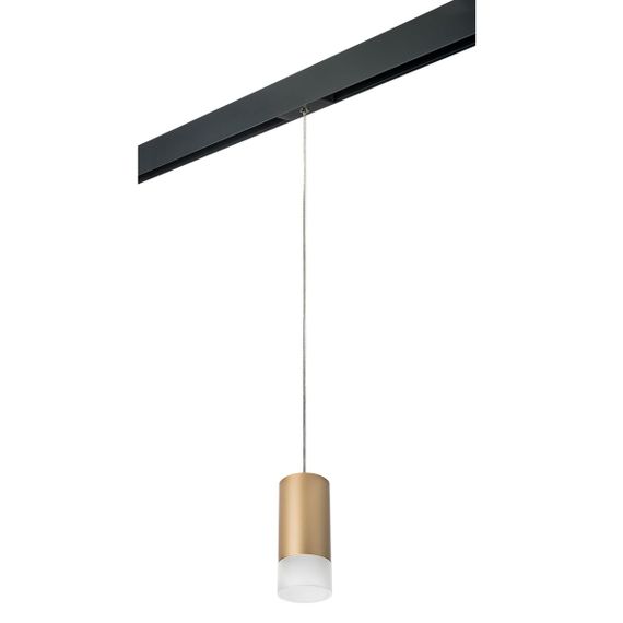 Комплект с трековым светильником Lightstar Rullo (214440+595857+202431) PRORP440131