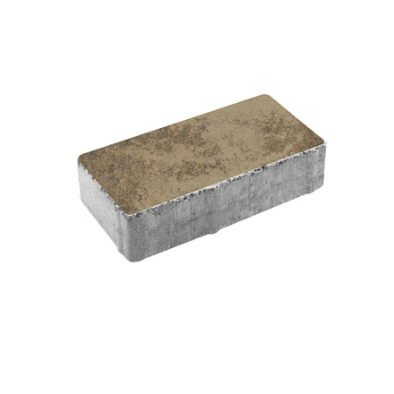 Тротуарная плитка ПРЯМОУГОЛЬНИК 200x100 мм - Листопад гладкий Старый замок