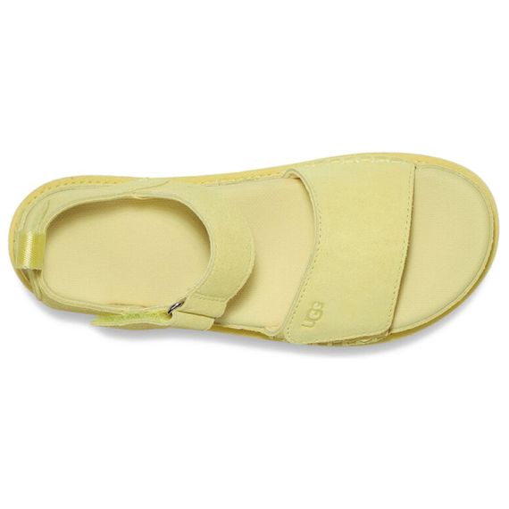 Ugg Goldenstar 'Lemon Yellow'