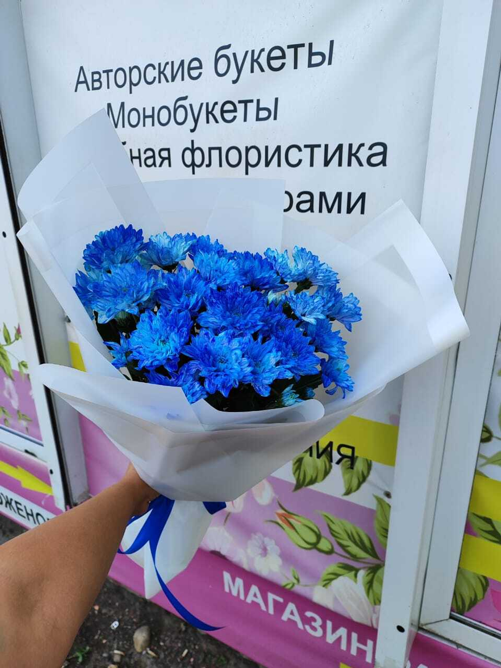 Пять синих хризантем в белоснежном оформление