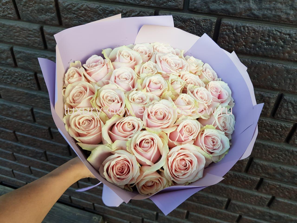 35 персиковых роз Эквадор 4