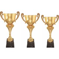 Кубки больших размеров