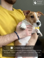 Браслет мужской из натуральных камней