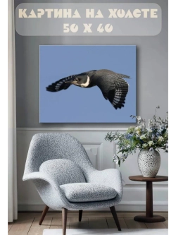 Картина на стену 40 X 50 Птица