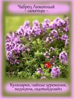 Чабрец Лимонный