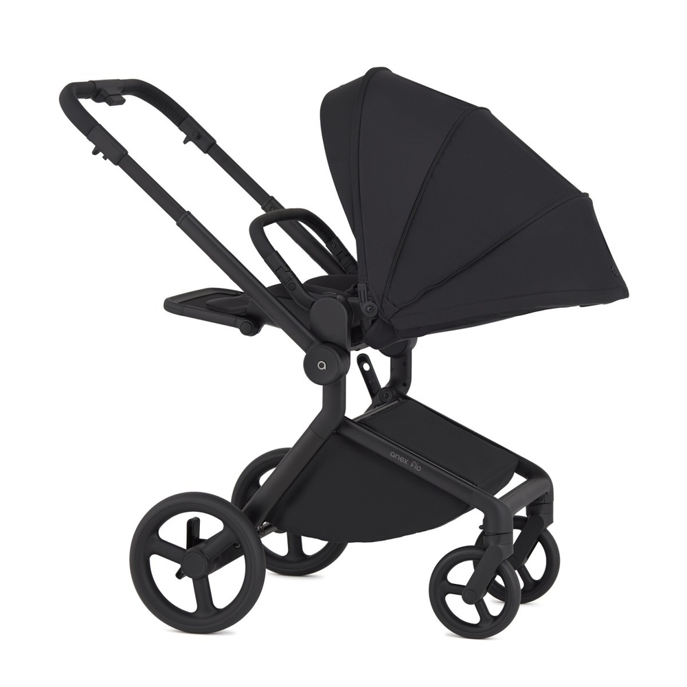 Anex Детская коляска Flo 2 в 1 Lungo