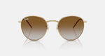 RAY-BAN ROUND REVERSE RBR0103S 001/CB