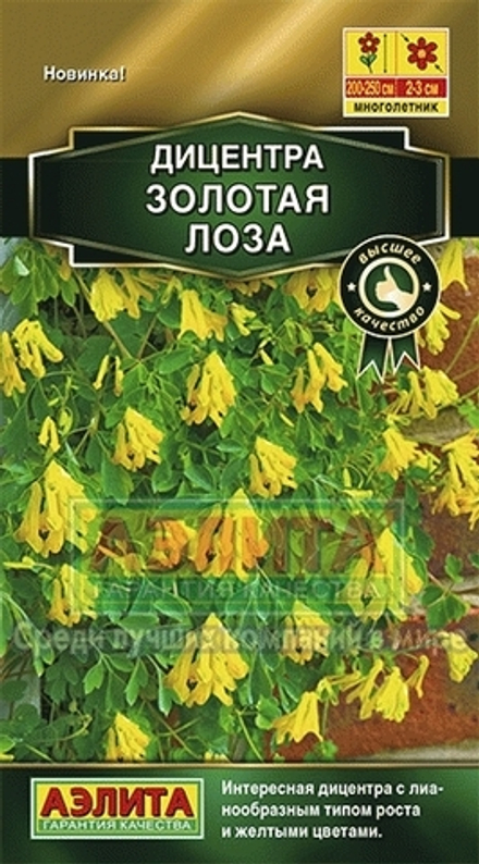 Дицентра Золотая лоза Аэлита