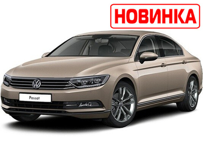 Автоковрики для VW Passat B8 (Сборка Германия)