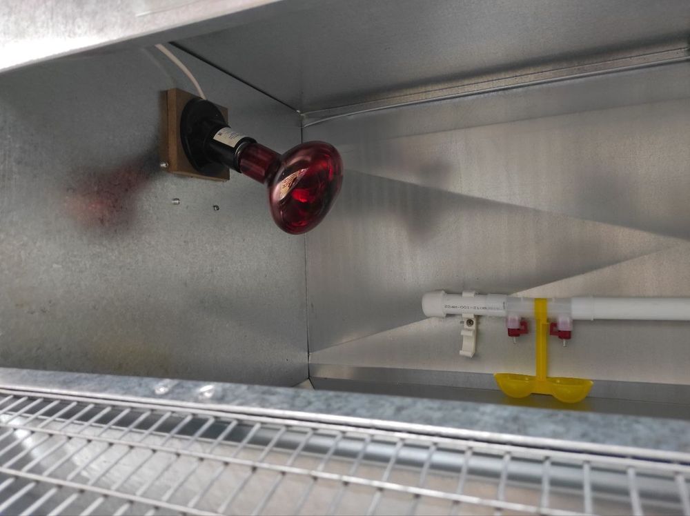 Брудер из оцинкованной стали на 70 цыплят