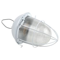 Светильник ЭРА НСП 02-100-003 с решеткой Желудь сталь стекло IP54 E27 max 100Вт 172х262х275 белый