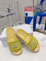 Christian Dior Dway Slide