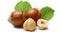 Fındıq ləpəsi 100 q \ Фундук 100 г \ Hazelnuts 100g