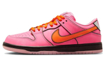 Кроссовки Powerpuff Girls X Nike Dunk Sb