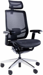 Кресло GT Chair InFlex X
