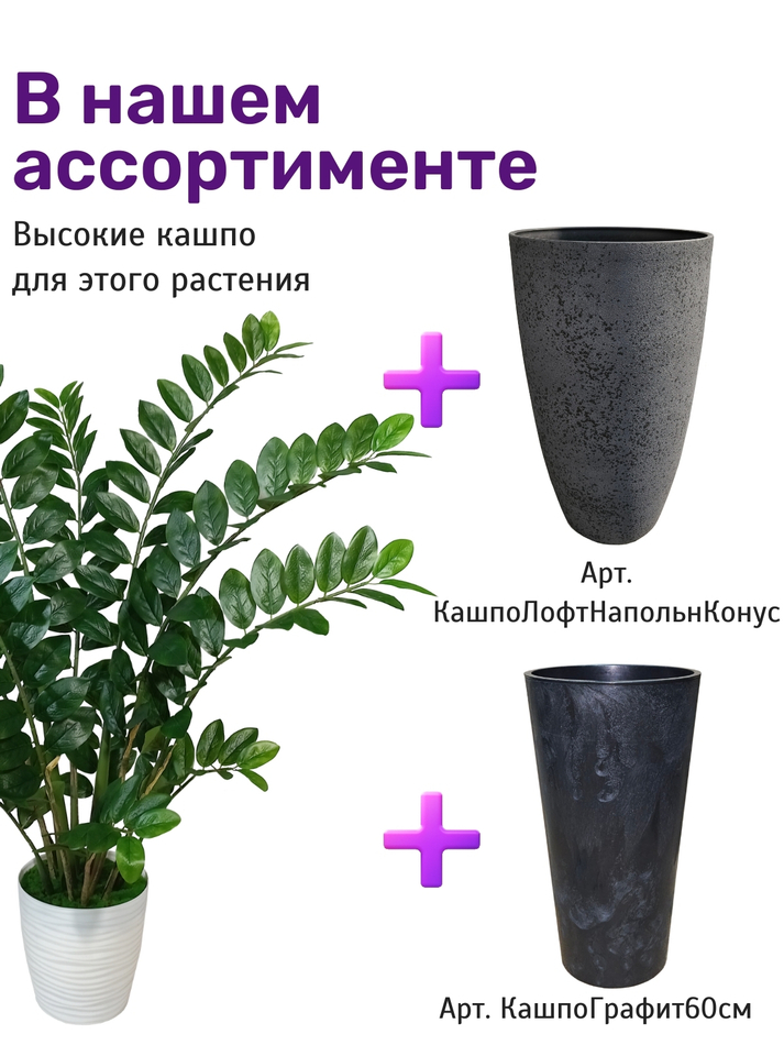 искусственные растения для офиса