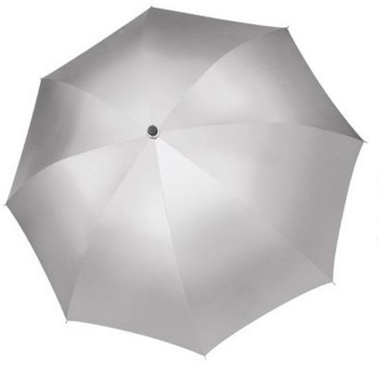 Зонт с серебристым куполом Рисунок внутри 255-В-04