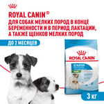 Royal Canin Mini Starter Мини Стартер Корм сухой для собак мелких пород в конце беременности в период лактации для щенков до 2-х месяцев 3кг