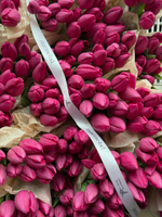 ОПТ тюльпан - классика ЯРКО РОЗОВЫЙ