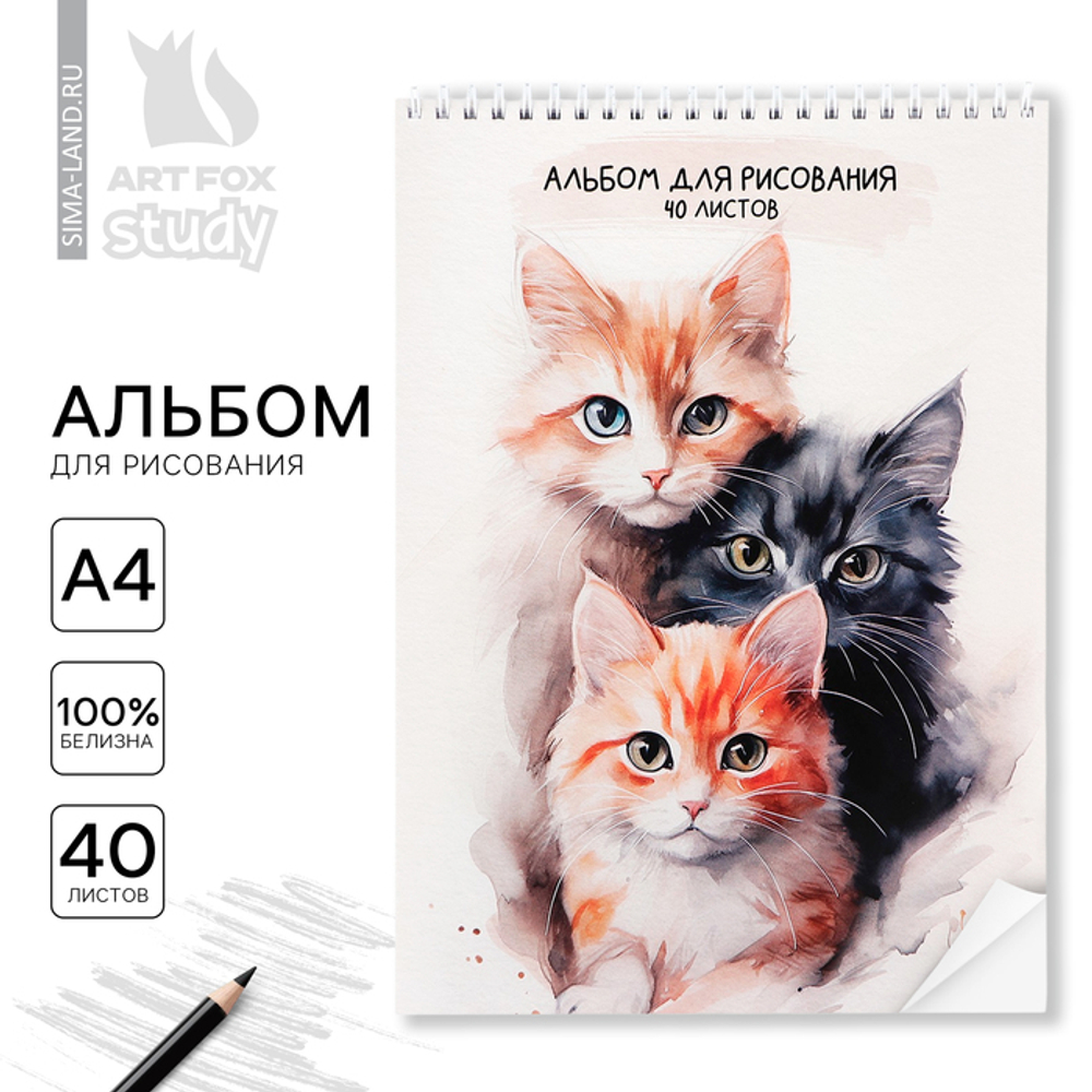 Альбом для рисования 40 листов на пружине А4 «Три котика»