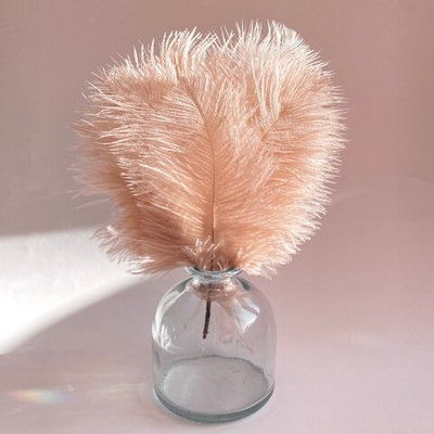 Перо страуса нектарин 15 - 20 см.