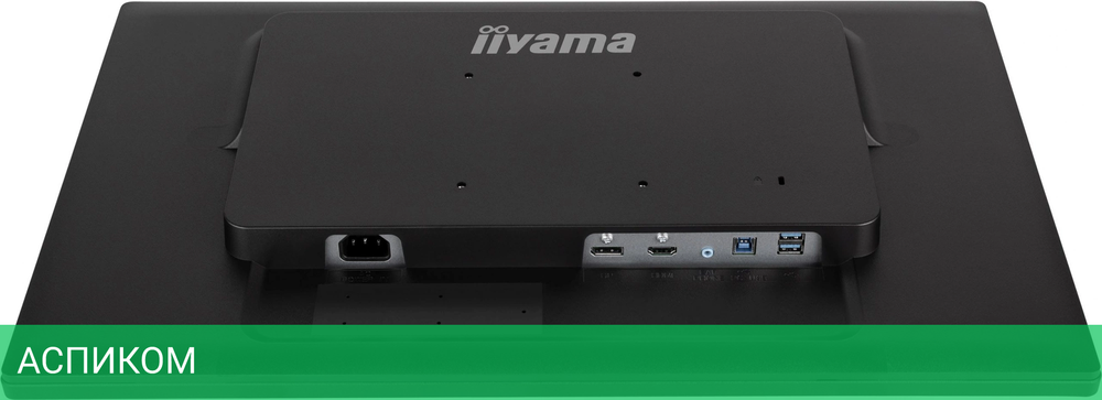 Монитор Iiyama ProLite T2452MSC-B1 черный