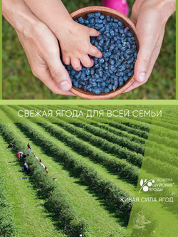 Сок жимолости, 250 мл