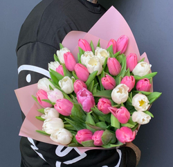 Тюльпаны Микс в упаковке
