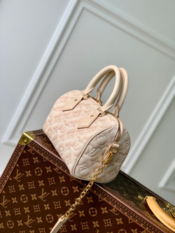 Louis Vuitton Speedy 20