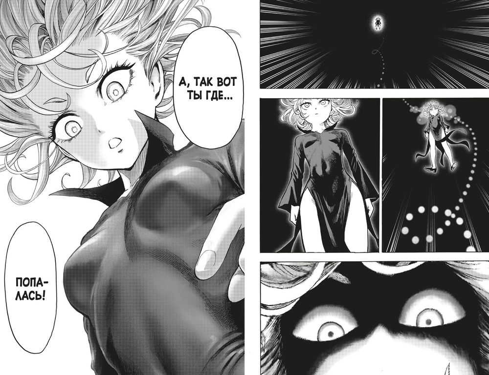 Манга One-Punch Man. Ванпанчмен. Том 13