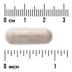 Swanson Vitamins, корень элеутерококка, 120 капсул (425 мг в 1 капсуле)