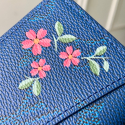 Louis Vuitton Pocket Organizer