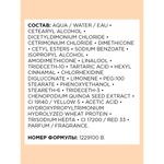 ЛП СЭ Абсолют Рэпеер см.уход 200 мл ( E3571901 )