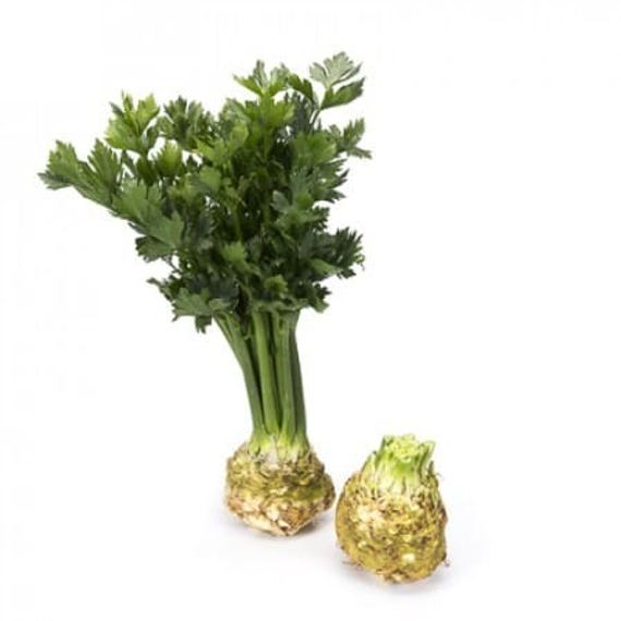 Президент РЗ семена сельдерея (Rijk Zwaan / Райк Цваан) продукт – фото 2