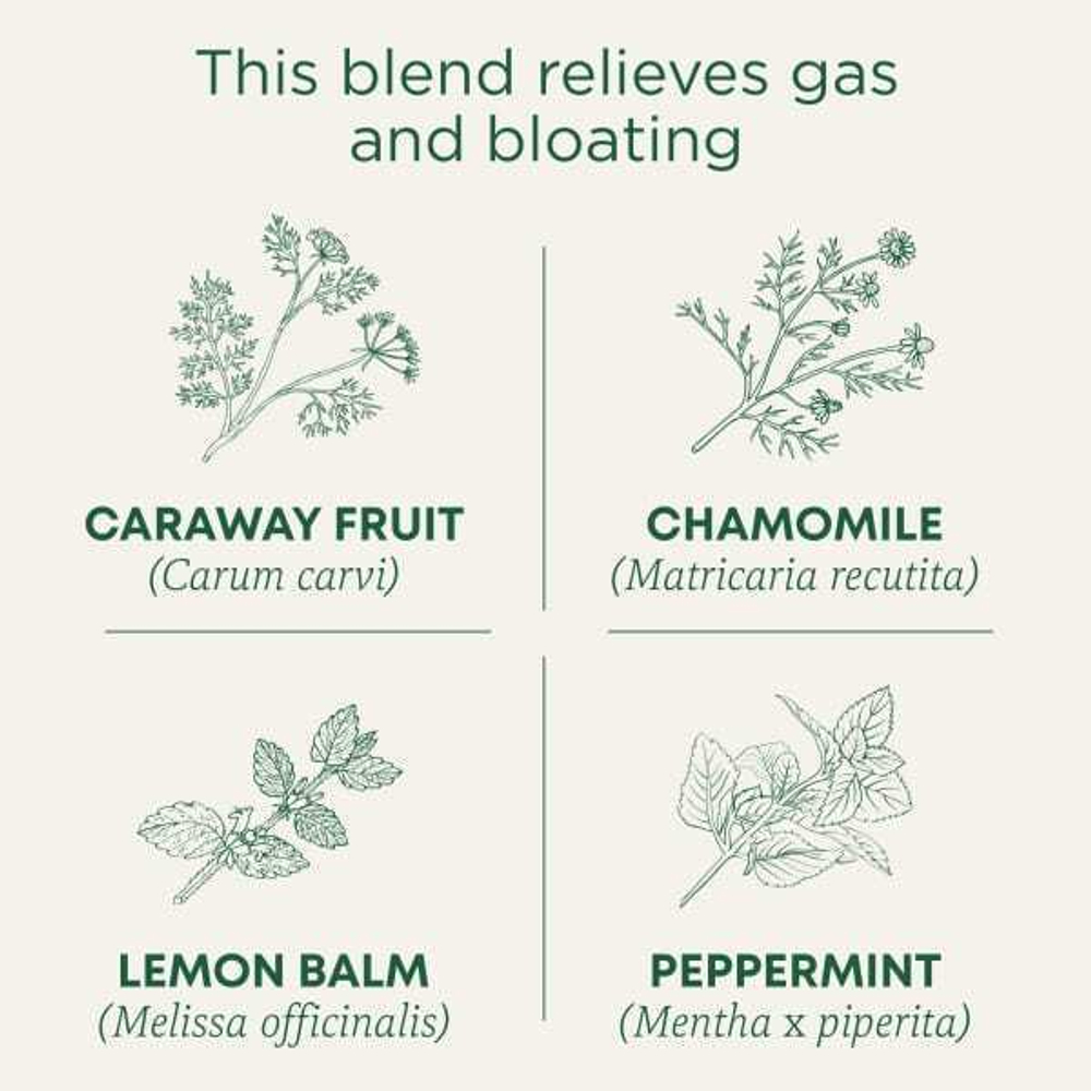 Traditional Medicinals, Organic Gas Relief, ромашка и мята, без кофеина, 16 упакованных чайных пакетиков, 24 г (0,85 унции)