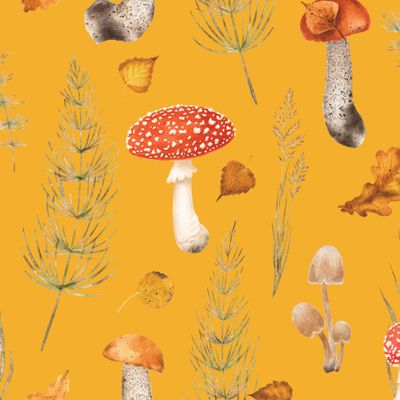 Хвощи и мухоморы желтый