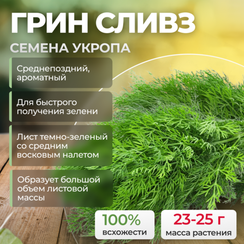 ГРИН СЛИВЗ семена укропа (Enza Zaden | Alexagro)