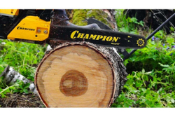Бензопила Champion 256-18