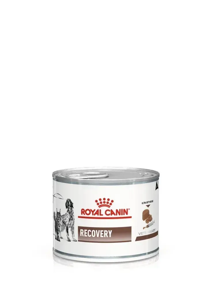 Royal Canin Recovery (мусс) для кошек и собак 195 г